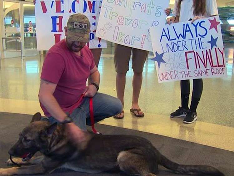 Pasó 3 años en el ejército - su perro no lo olvida