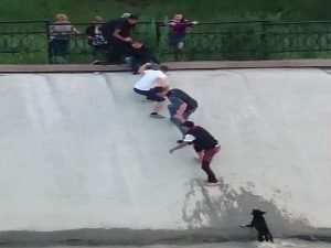 Formaron una cadena humana para rescatar un perro Un grupo de personas en Kazajstán formaron una cadena humana para rescatar un perro atrapado en muchas aguas debajo de una compuerta, trataron y trataron estirándose para lograr salvarlo entre todos. El perro estaba de pie en el borde de una cascada, cuando un hombre se metió para llevar al perro a la repisa donde cayó. Pero cuando la pareja llegó a la pared pronunciada en el borde del canal, necesitaron ayuda para escalarla. Fue entonces cuando la gente en el banco corrió para unir sus brazos y lucharon hasta que pudieron tirar del hombre y el perro a la seguridad. Así los buenos samaritanos formaron una cadena humana para salvar al perro del embalse. El video grabado muestra como un grupo de amantes caninos rescataron a un perro atrapado en un depósito formando una cadena humana. Se grabó en el teléfono inteligente de Marjana Khadreeva, según el Daily Mail, que observaba la escena desplegarse en el embalse Sayran en la ciudad de Almaty, en el sureste de Kazajstán. El vídeo comienza con un hombre caminando en el agua acercándose al perro, evidentemente asustado. Él lo acerca a la pendiente de la reserva mientras que otros hombres se dan la mano en una cadena humana para llegar a los dos. En un momento de rapidez el chico en la parte inferior se esforzó para llegar a las personas de la parte superior (sorprendentemente, el perro parece entender que él tiene que quedarse quieto y esperar, y lo hace con paciencia). Mientras que la persona esperó con el perro indefenso, situado en la cascada, casi una docena de personas se reunieron en una pasarela por encima. Varios de ellos, de la mano, comenzaron avanzando lentamente por la pared. Por último, Formaron una cadena humana para rescatar un perro