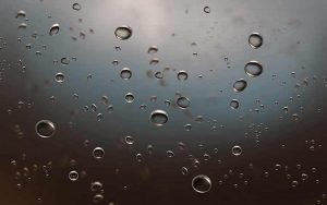 Perro que se divierte haciendo globitos en el agua