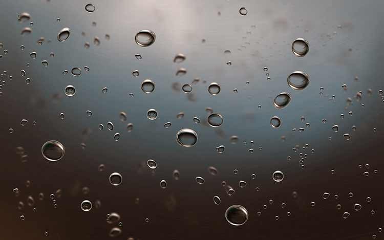 Perro que se divierte haciendo globitos en el agua