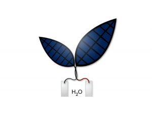 Hoja biónica que transforma CO2 en combustible