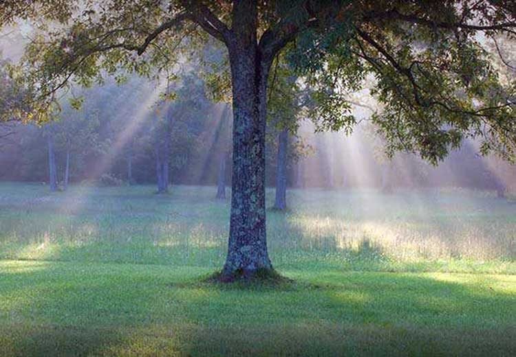 El Arte realmente puede reducir el estrés