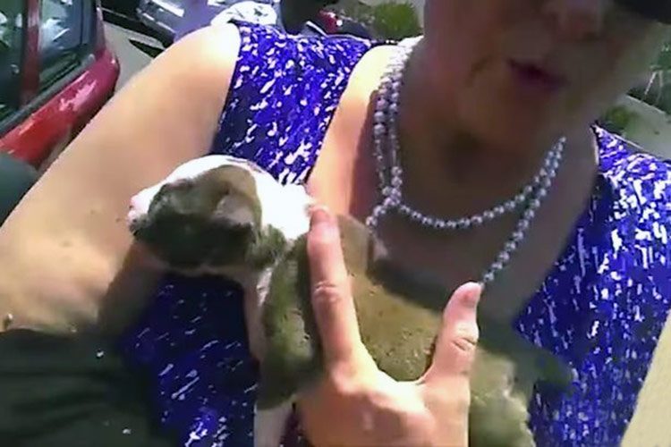 Policía salva a un minúsculo perrito de morir