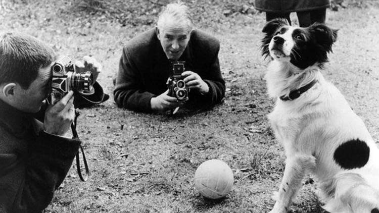 El Perro héroe que salvó a Inglaterra en 1966