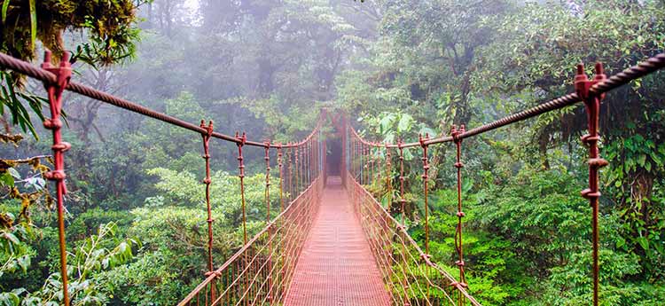 Costa Rica muestra el camino al mundo