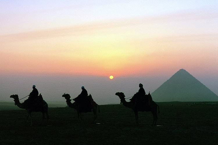 Leche de camella es buena para la Diabetes, Corazón