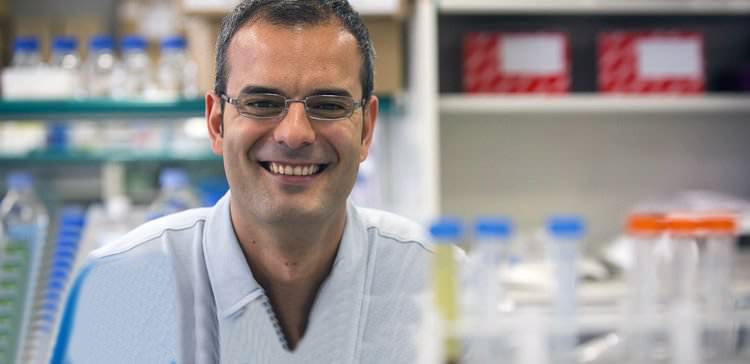 Metástasis del cáncer – encuentran al culpable