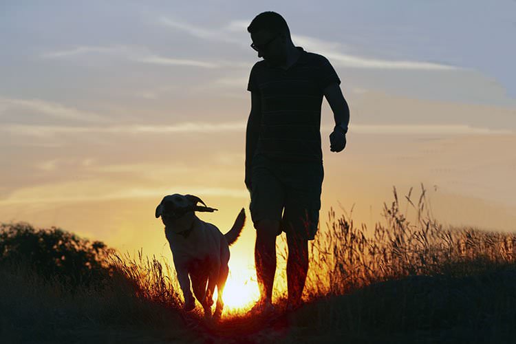 Para cuidar a otros necesita cuidarse usted mismo