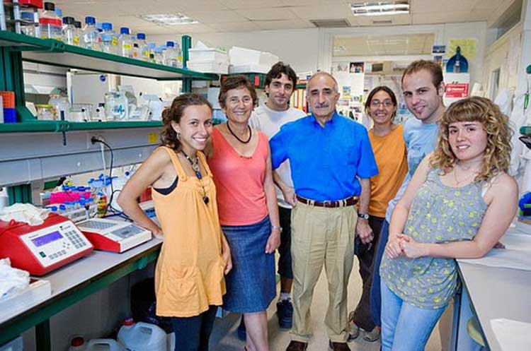 Investigadores crean virus para atacar el cáncer