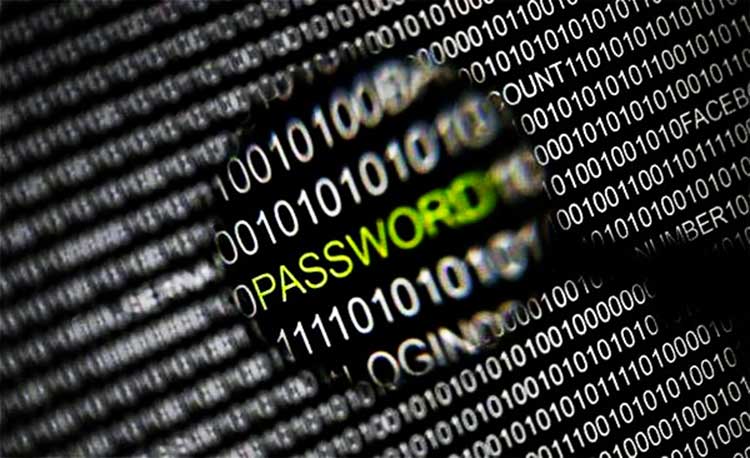 Cerebro humano podría ser la contraseña perfecta