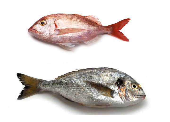 Cuáles son los alimentos que duran solo 1 día