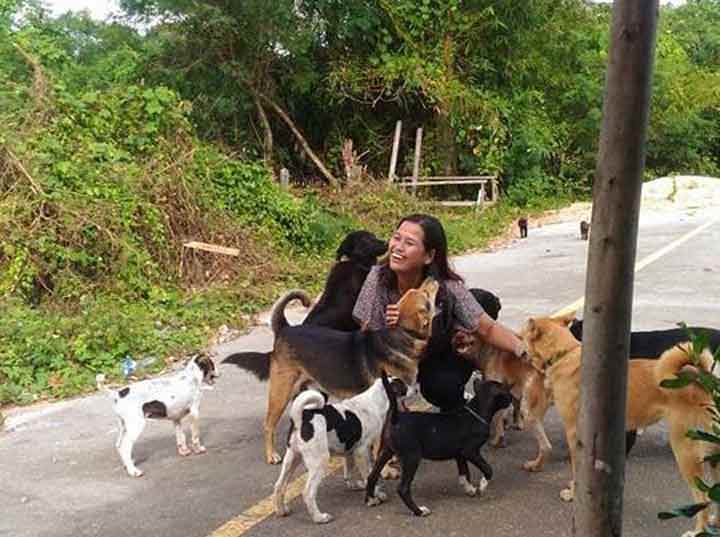 Perro callejero agradece cada día con un regalo