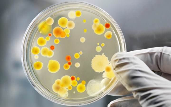 Crean antibiótico para bacterias súper resistentes