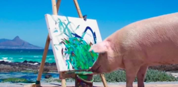 Cerdo pintor está conquistando el mundo del arte