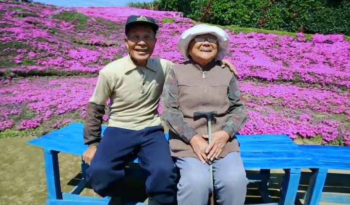 Plantó miles de flores para su esposa ciega