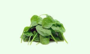 Beneficios de la Clorofila para la salud humana