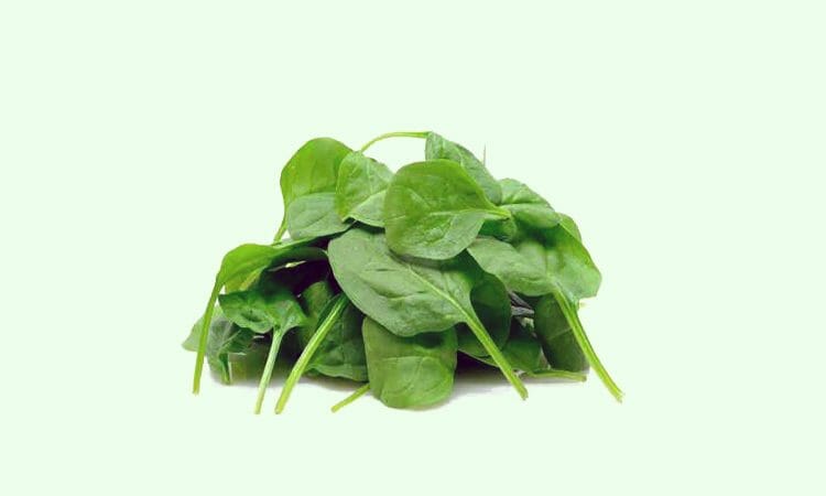 Beneficios de la Clorofila para la salud humana