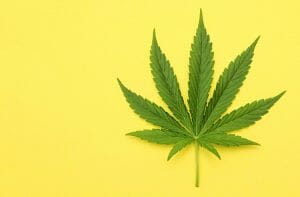 Qué es el aceite de CDB – aceite de marihuana para uso médico