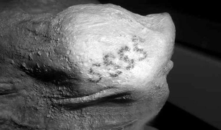 Cuál es el Tatuaje más antiguo del mundo?